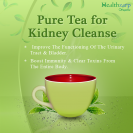 Pure Kidney Cleanse Tea Sample